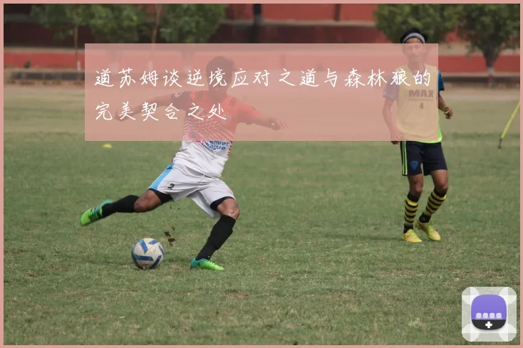 道苏姆谈逆境应对之道与森林狼的完美契合之处
